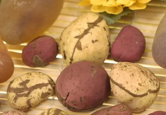 kola nut seed extract.webp